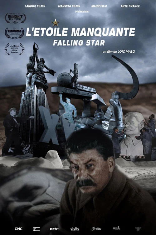 Movie poster for The Falling Star (2019)