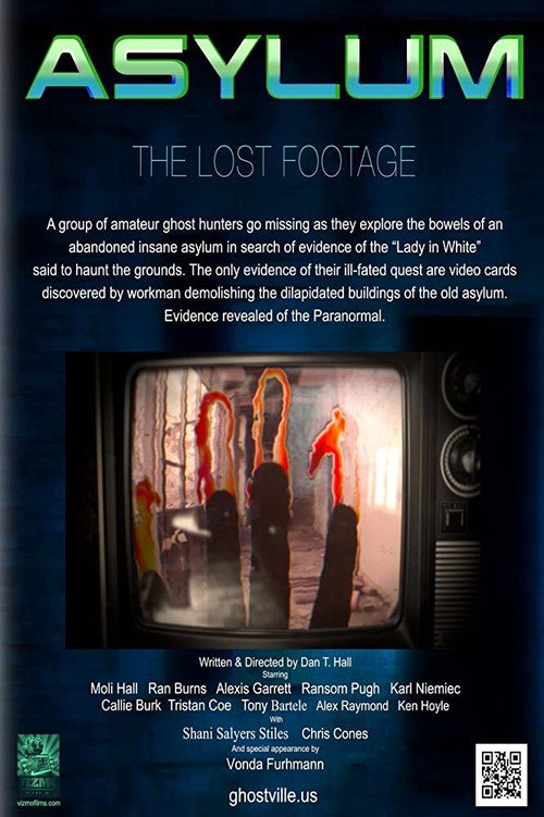 Movie poster for Asylum: the Lost Footage (2013)
