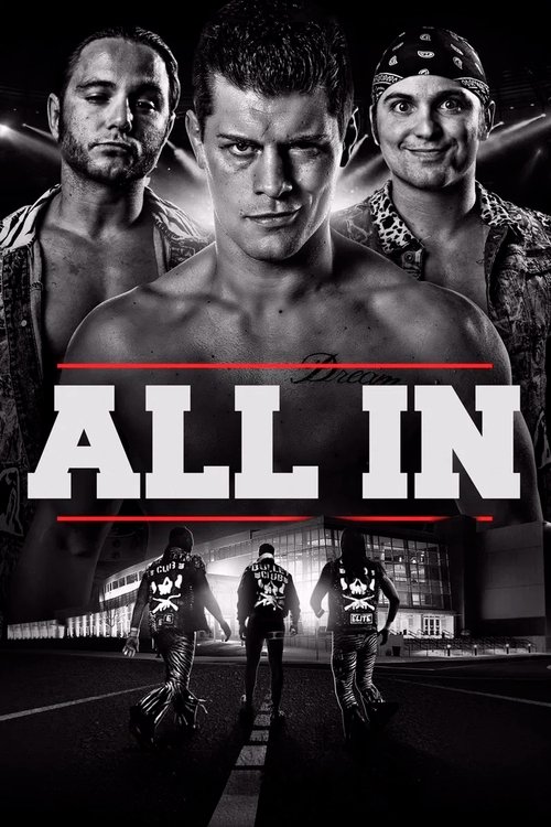 Movie poster for All In (2018)