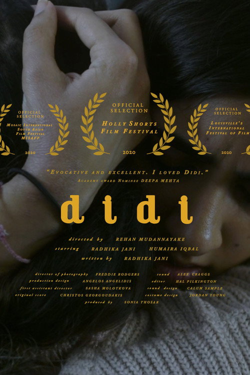 Movie poster for Didi (2020)
