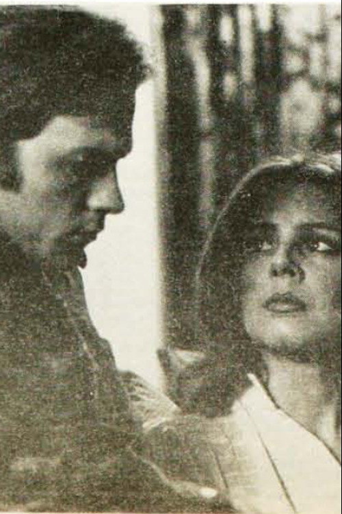 Movie poster for Aerial View (1979)