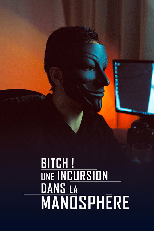 Movie poster for Bitch! Une incursion dans la manosphère (2019)
