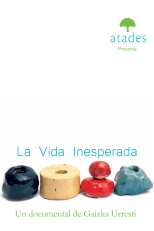 Movie poster for La vida inesperada (2012)