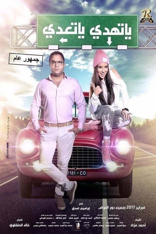 Movie poster for Drive Slowly or Move Forward (2017)