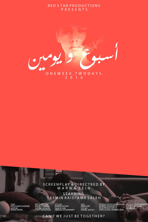 Movie poster for One Week, Two Days (2016)