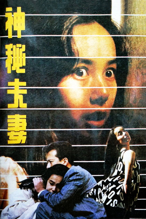 Movie poster for A Mysterious Couple (1991)