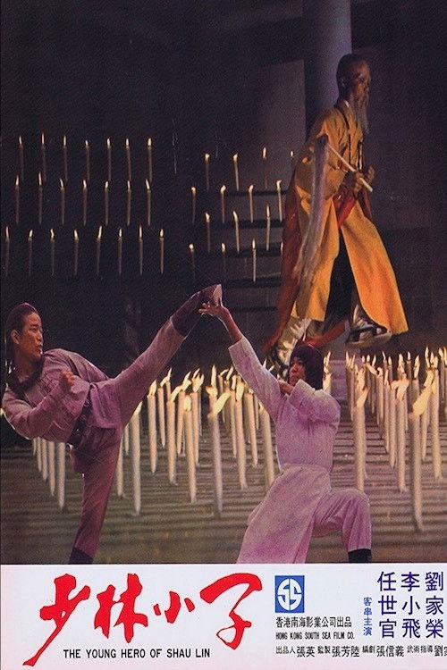 Movie poster for Young Hero of Shaolin (1976)