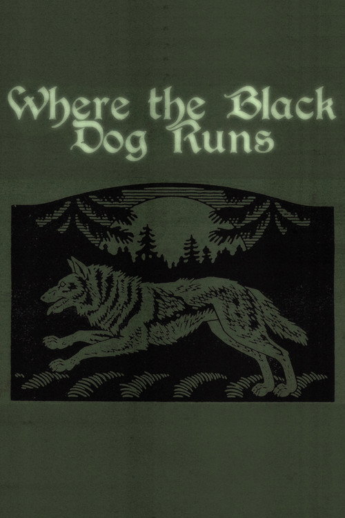 Movie poster for Where the Black Dog Runs (2026)