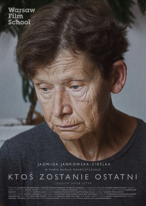Movie poster for The Last One