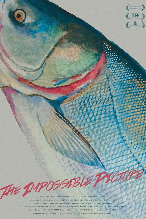 Movie poster for The Impossible Picture (2016)