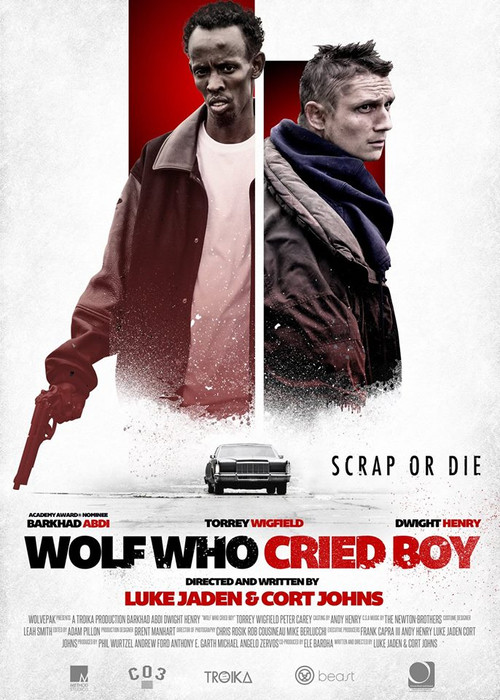 Movie poster for Wolf Who Cried Boy (2015)