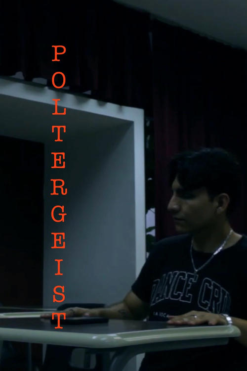Movie poster for Poltergeist (2024)