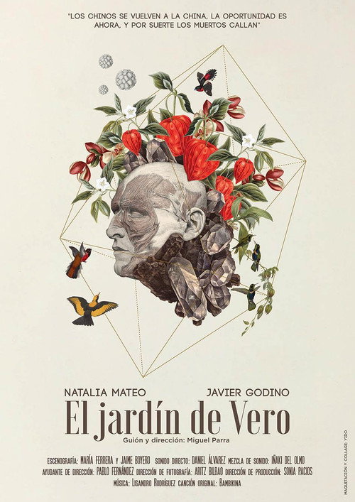 Movie poster for El jardín de Vero (2018)