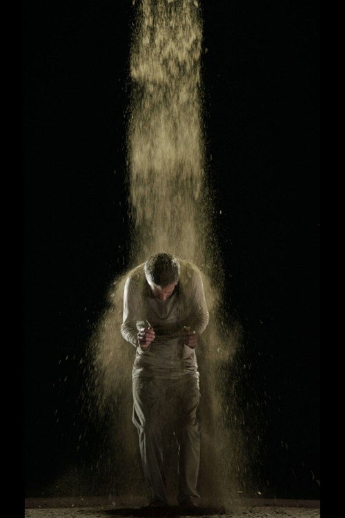 Movie poster for Martyrs: Earth (2014)