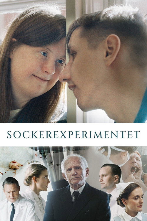 Movie poster for The Sugar Experiment (2023)