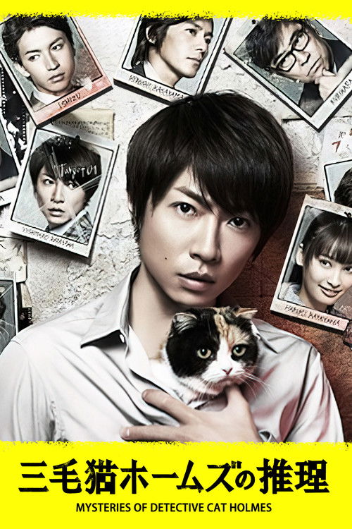 Mysteries of Detective Cat HOLMES poster