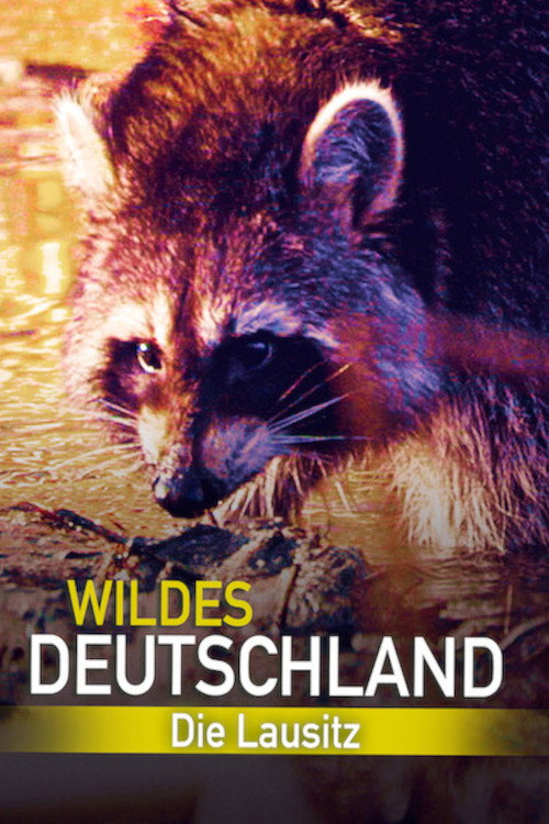 Movie poster for Wild Germany: Exploring Lusatia (2013)