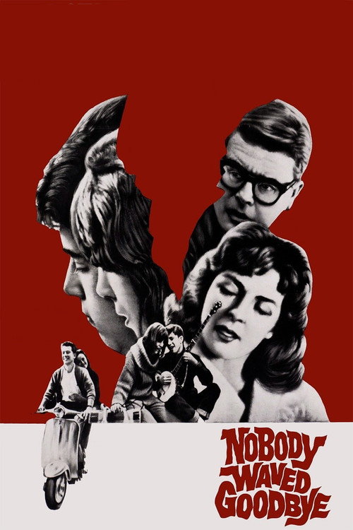Movie poster for Nobody Waved Goodbye (1964)
