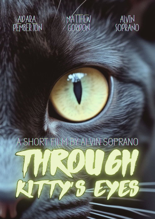 Movie poster for Through Kitty’s Eyes (2013)