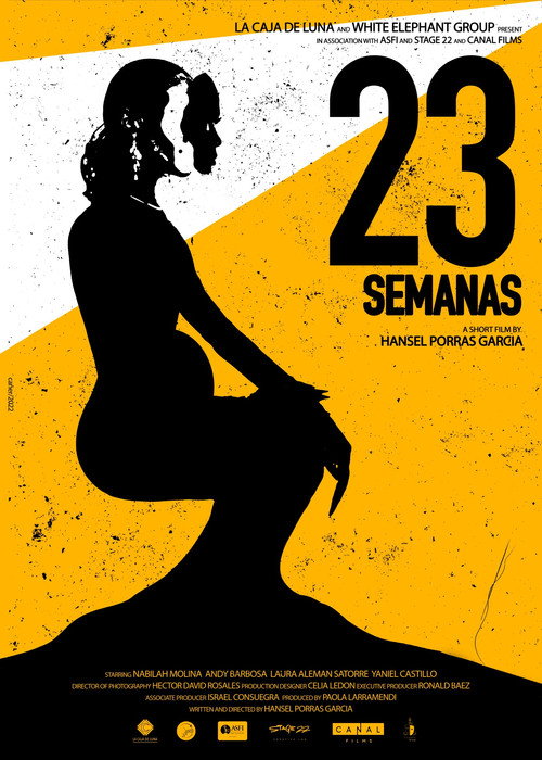 Movie poster for 23 Semanas (2023)