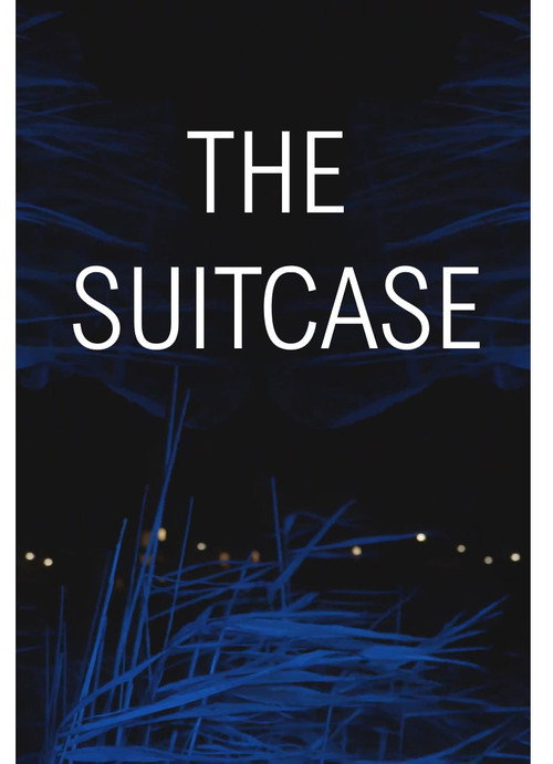 Movie poster for The Suitcase