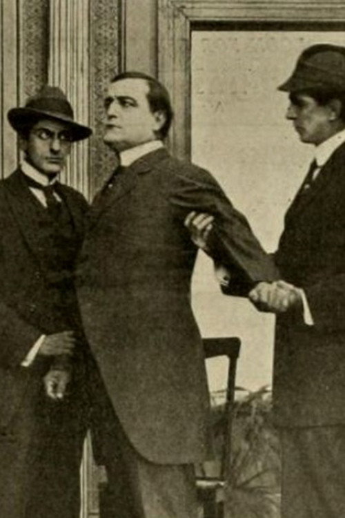 Movie poster for Alexia's Strategy (1913)