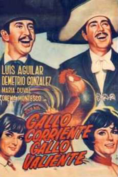 Movie poster for Gallo corriente, gallo valiente (1966)