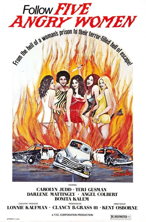 Movie poster for Women Unchained (1974)
