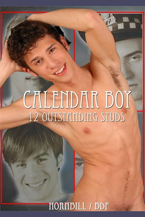 Movie poster for Calendar Boy (2010)