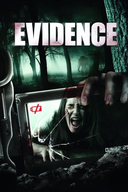 Movie poster for Evidence (2011)