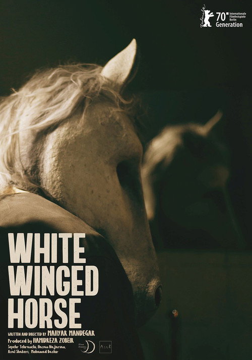 Movie poster for White Winged Horse (2020)