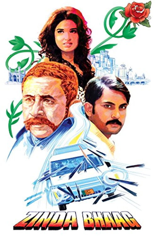 Movie poster for Zinda Bhaag (2013)