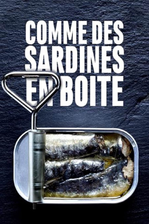 Movie poster for Comme des sardines en boite (2017)