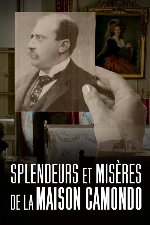 Movie poster for Splendeurs et misères de la maison Camondo (2025)