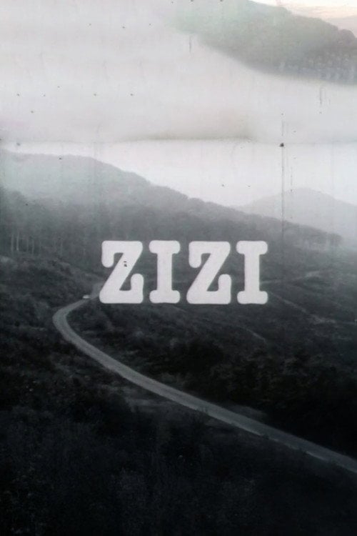 Movie poster for Zizi (1982)