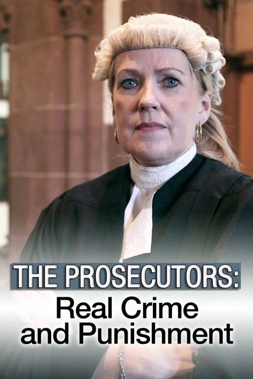 Series poster for The Prosecutors (2016)