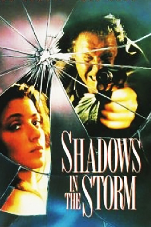 Movie poster for Shadows in the Storm (1988)