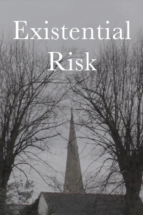 Movie poster for Existential Risk (2025)
