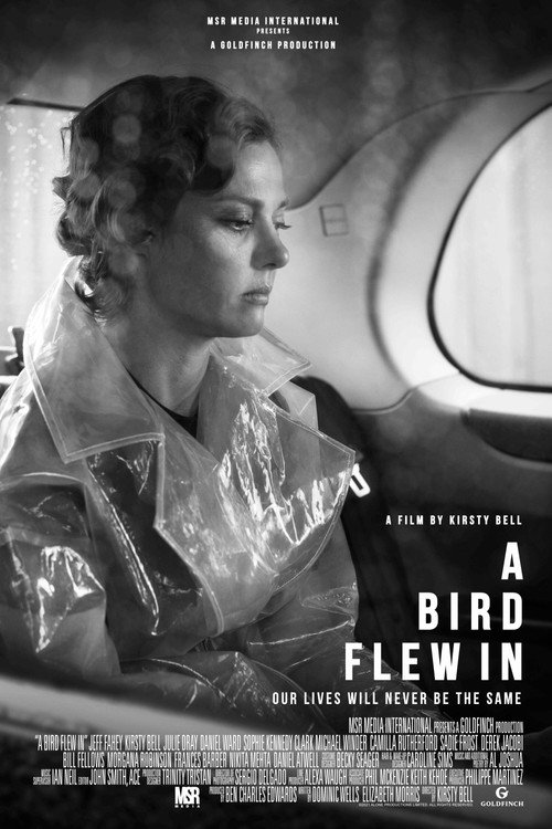 Movie poster for A Bird Flew In (2022)
