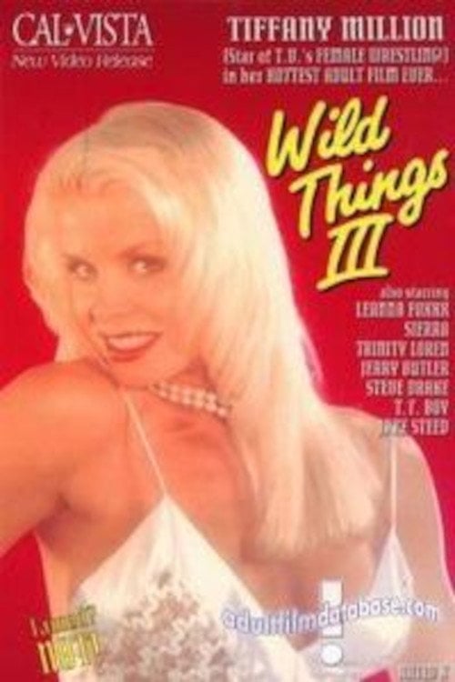 Movie poster for Wild Things 3 (1993)