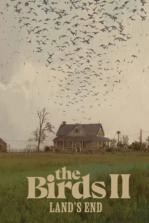 Movie poster for Don't Remake Hitchcock Movies: Looking Back at The Birds II: Land's End (2022)
