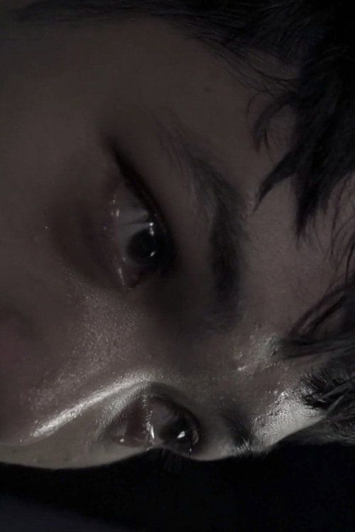 Movie poster for Lucid dream (2023)