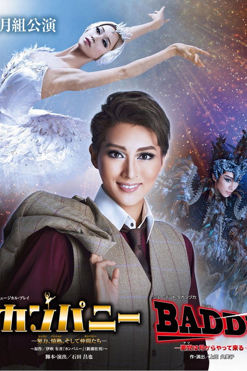 Movie poster for Company: Lessons, Passion, and Companionship (2018)