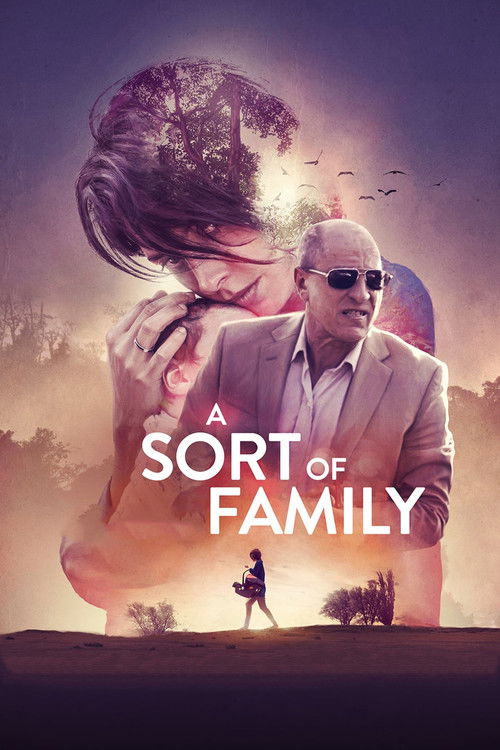 Movie poster for A Sort of Family (2017)