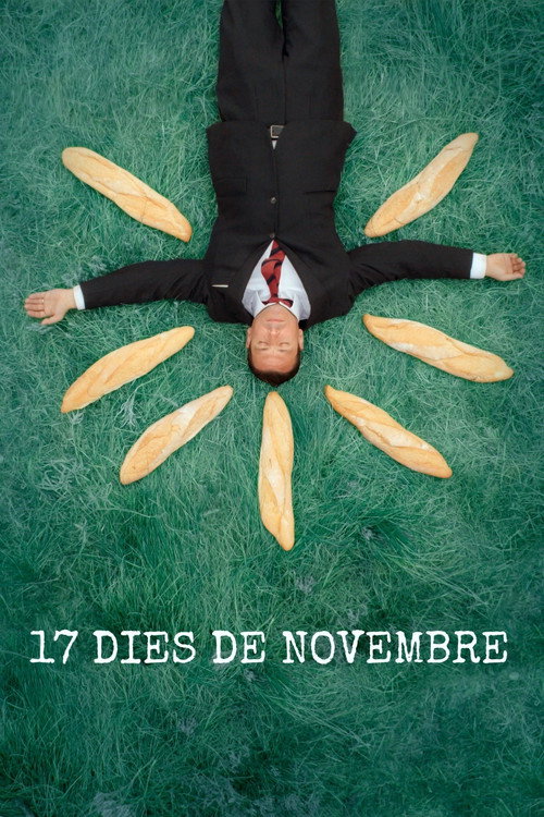 Movie poster for 17 dies de novembre (2024)