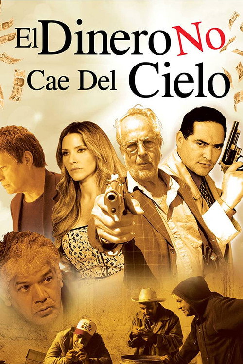 Movie poster for El dinero no cae del cielo - El aerolito (2015)
