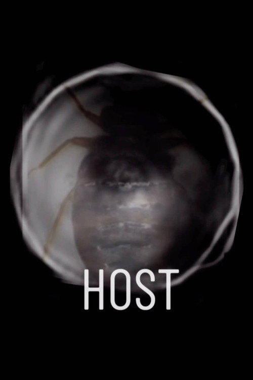 Movie poster for Host (2024)