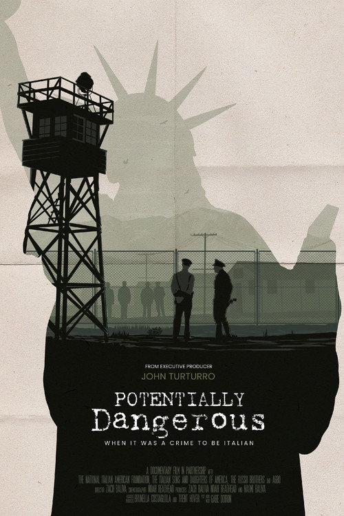 Movie poster for Potentially Dangerous (2022)