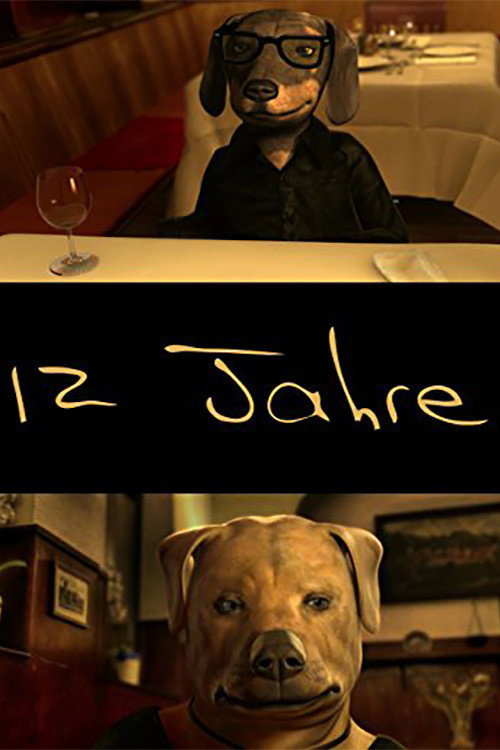 Movie poster for 12 Years (2010)