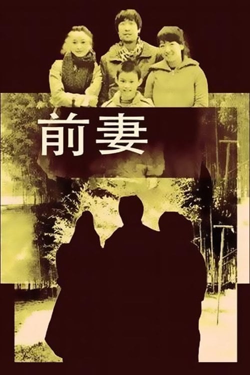 Movie poster for Ex-wife (2009)
